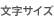 文字サイズ