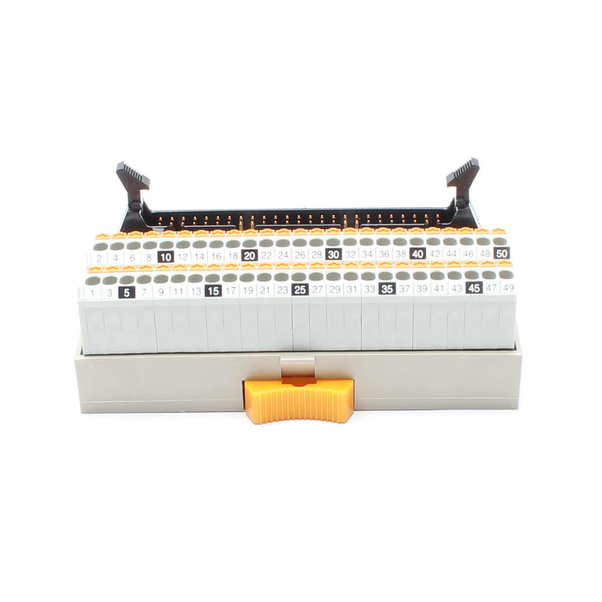 専用枠 KAWASAKI - RAID-ZERO